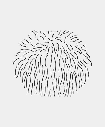 Lion’s Mane 90 Capsules Excludes Shipping